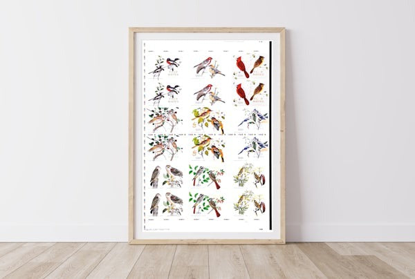 Birds and Trees of North America
