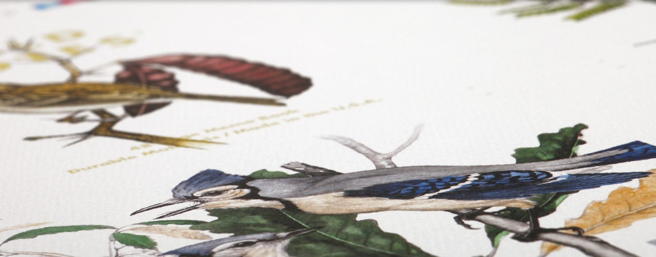 Birds and Trees of North America Press Sheet