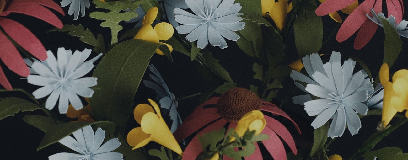 Fall Flowers