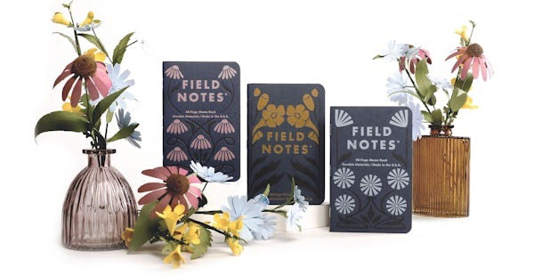 Fall Flowers